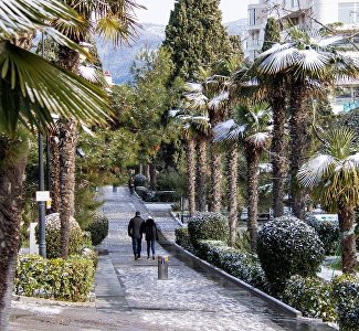 Ялта возглавила топ популярных маршрутов выходного дня в январе-феврале