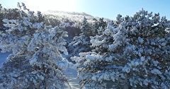 Зима в горах Крыма на видео