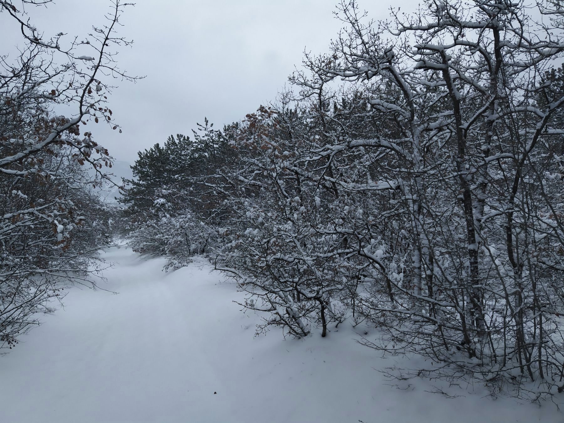 Зима в селе Высокое Бахчисарайского района