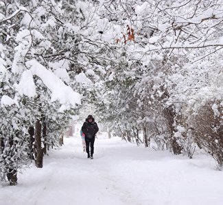 Снег, ливень, сильный ветер: в Крыму объявлено штормовое предупреждение