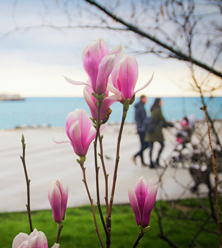 Набережная Ялты