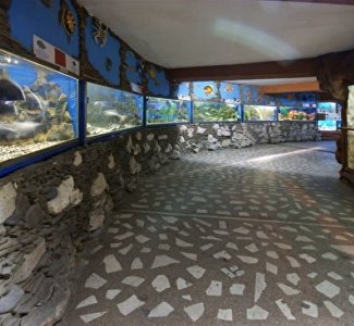 Алуштинский аквариум