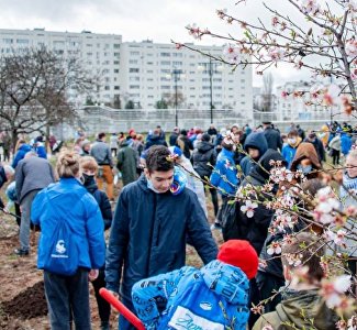 В Севастополе начали высаживать «Сады памяти»