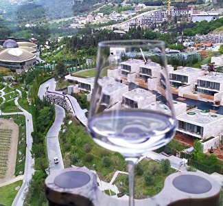 Со вкусом вина и погружением в историю: в Крыму проходит фестиваль WineparkFest