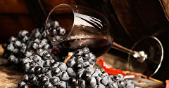 Виноградная лоза и вино в бокале