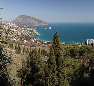 В Крыму выйдет фотокнига о виноделии