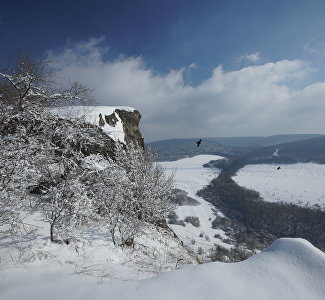 Моменты счастья: 10 причин приехать в Крым зимой Моменты счастья: 10 причин приехать в Крым зимой