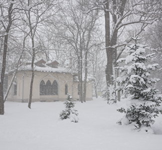 Зима добралась до Крыма: декабрь завершится снегопадами и сильным ветром