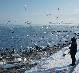 Зима близко: к концу недели Крым накроют дожди с мокрым снегом и штормовой ветер