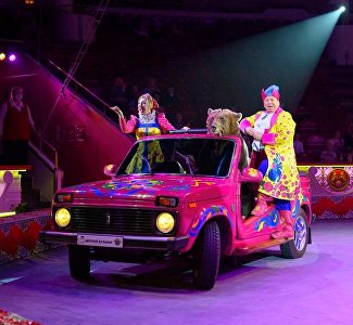 В Крыму стартовали гастроли Московского цирка Никулина на Цветном бульваре