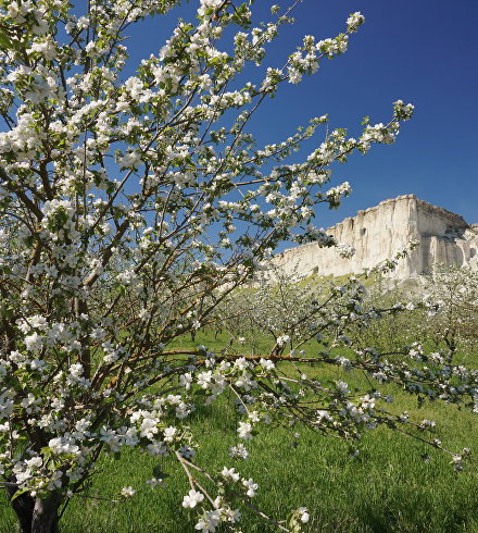 Весна в Крыму