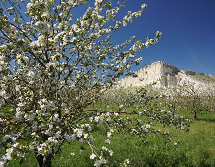 Весна в Крыму
