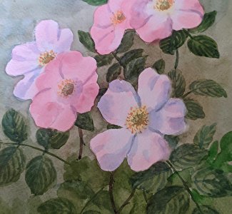 Выставка-подарок к 8 Марта: в Феодосии покажут цветочные акварели