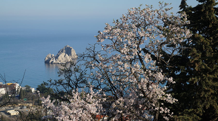 Весна в Крыму