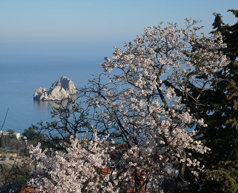 Весна в Крыму