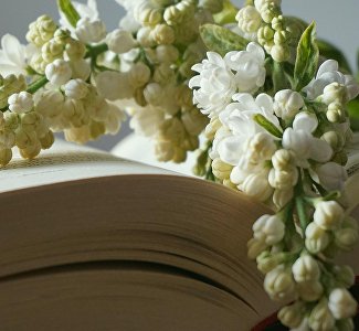 К 120-летию Алушты: на Орлиной горе пройдёт праздник «Белая сирень»