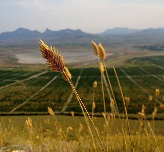 Что делать в Крыму в ноябре: эксперты рекомендуют