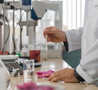 Крымский бренд косметики запустил виртуальный музей об истории эфиромасличной отрасли