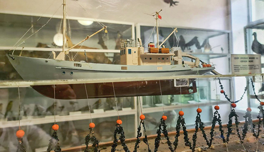 Музей «Живой океан» в Керчи