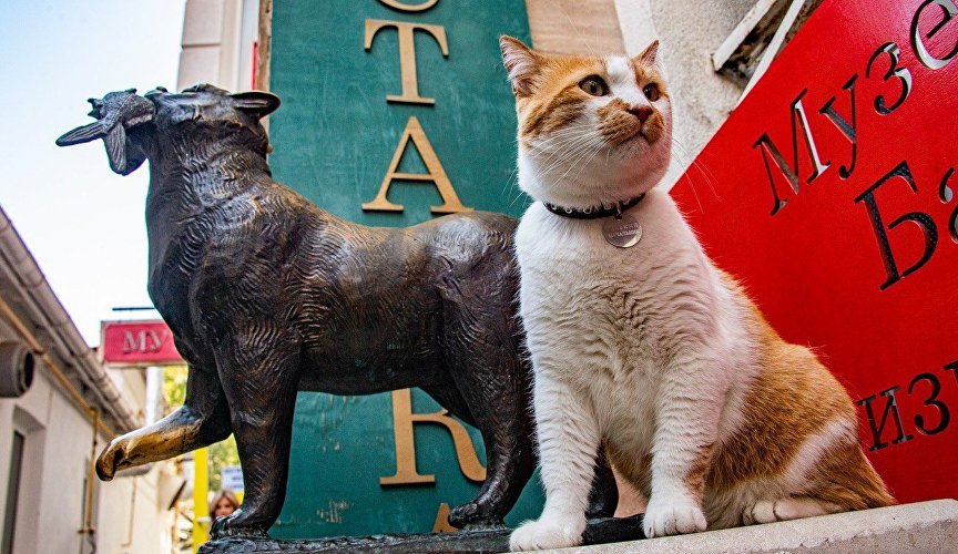 Кот на скамейке памятник