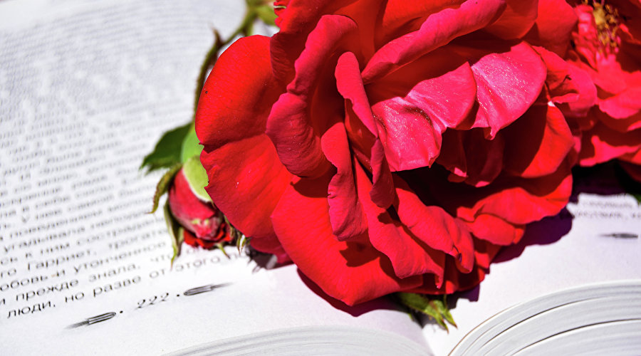 Розы и книга