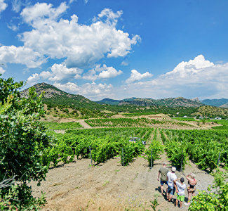 Экскурсионно-экологический пешеходный маршрут «Судакские панорамы» (этап 23.1)