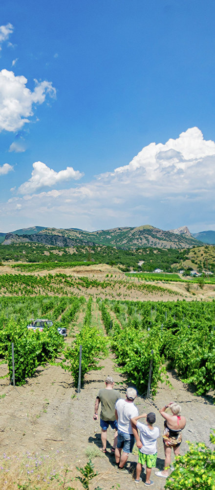Экскурсионно-экологический пешеходный маршрут «Судакские панорамы» (этап 23.1)