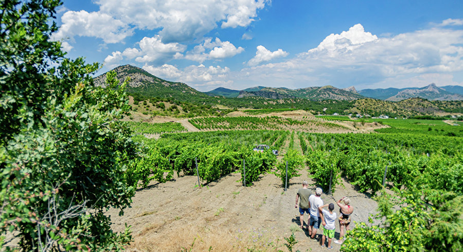 Экскурсионно-экологический пешеходный маршрут «Судакские панорамы» (этап 23.1)