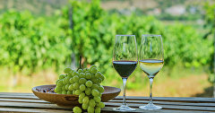 Виноград и бокалы с вином