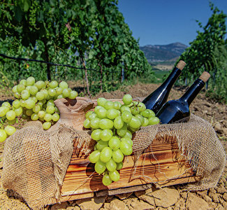 Эногастрономический гид: новые вина и туристические локации – что предлагают туристам винодельни Крыма