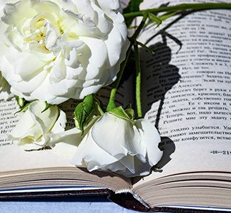 В Симферополе пройдёт литературный фестиваль «КрымБукФест-2022»