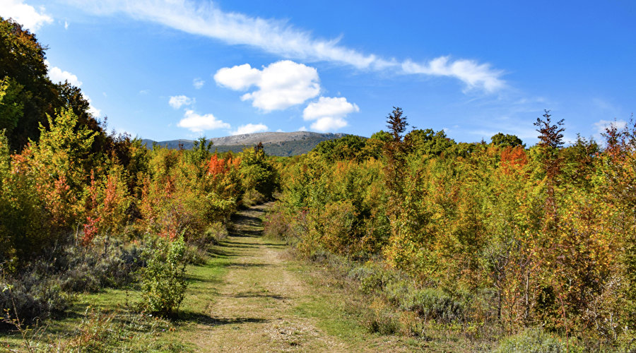 Осень в Крыму