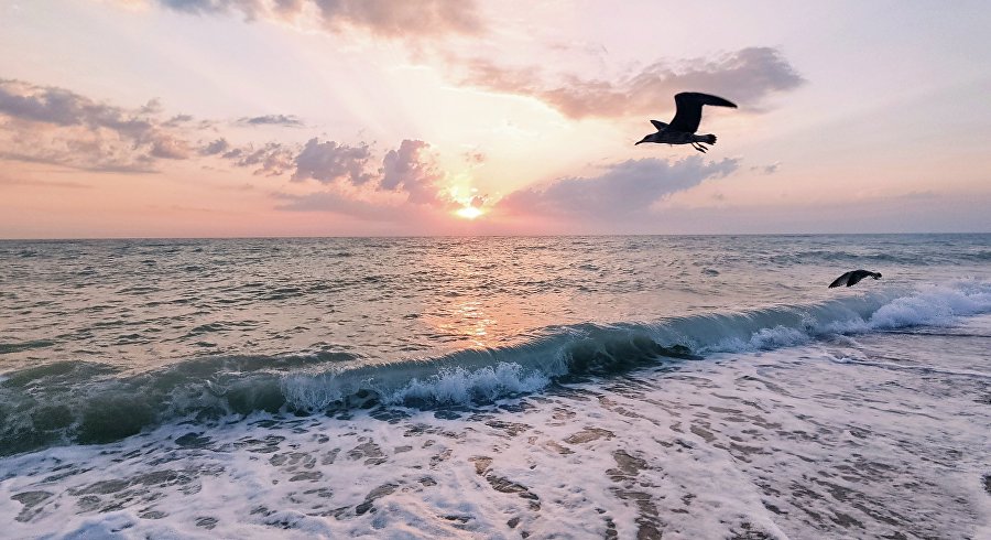 День Чёрного моря: самые интересные факты День Чёрного моря: самые интересные факты