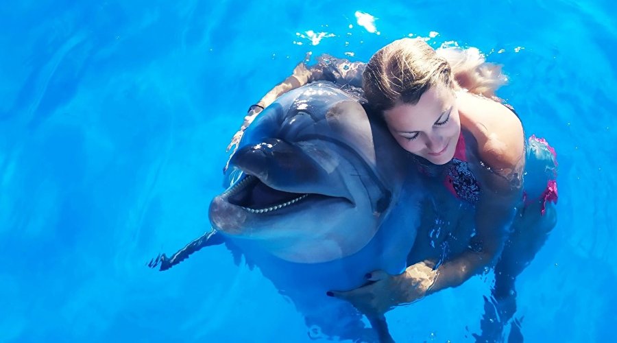 Девушка с дельфином