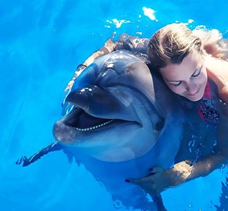 Осуществить мечту: где в Крыму можно поплавать с дельфинами