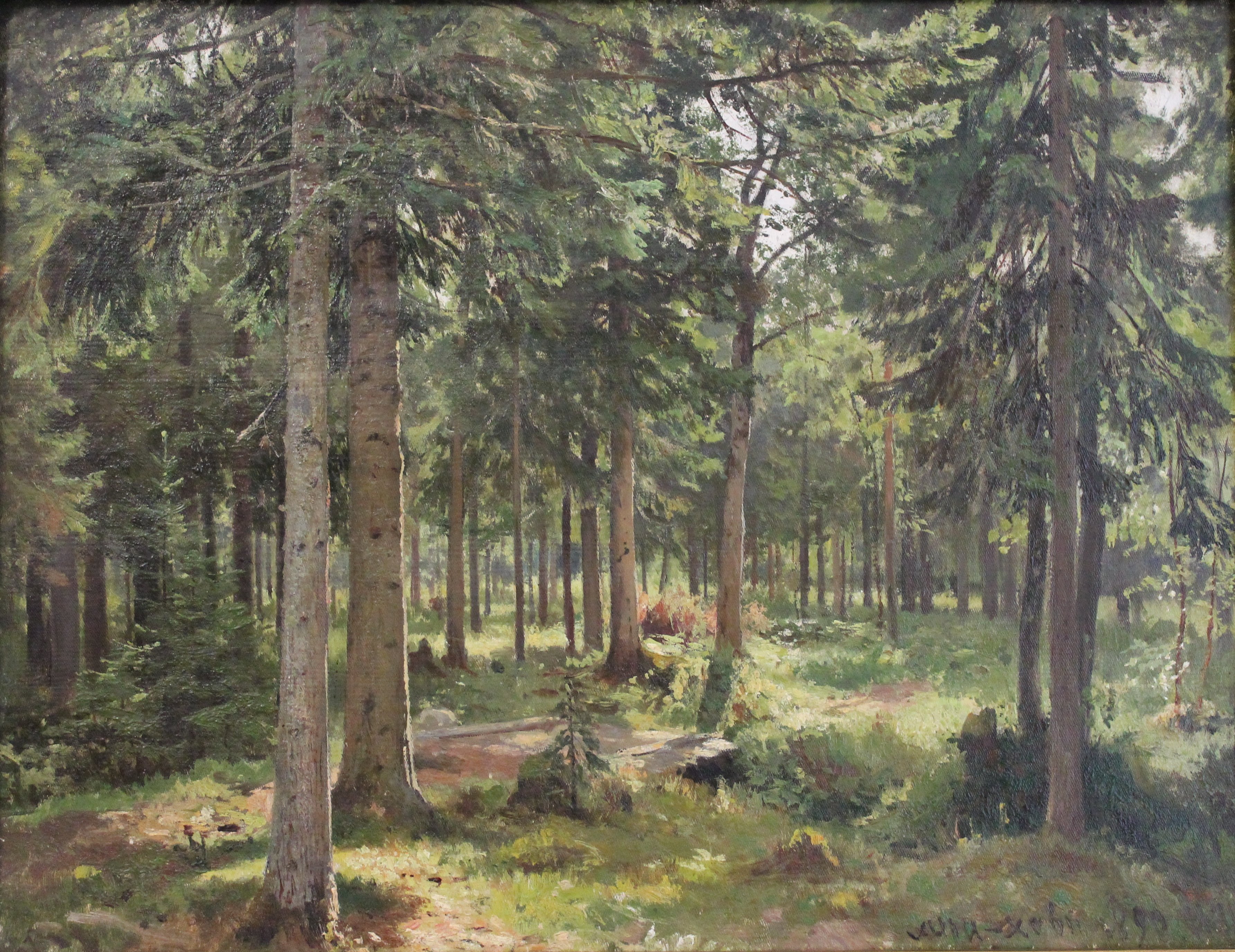 &amp;laquo;Молодой лес в Мери-Хови&amp;raquo; Ивана Шишкина