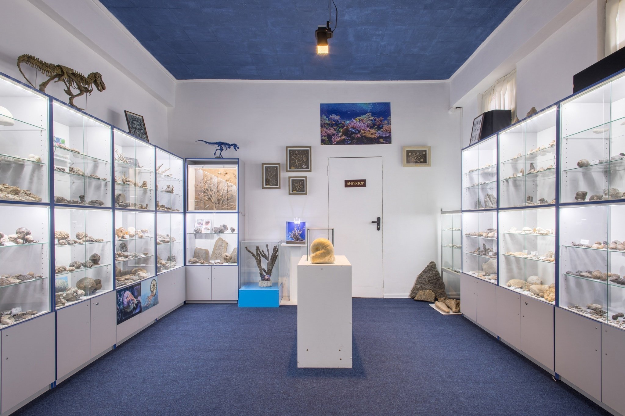 Палеонтологический музей В. Вербицкого в Ливадии