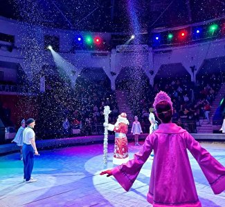 «Ёлка в цирке»: в Симферополе на новогодние праздники будут развлекать акробаты, фокусники и пудели