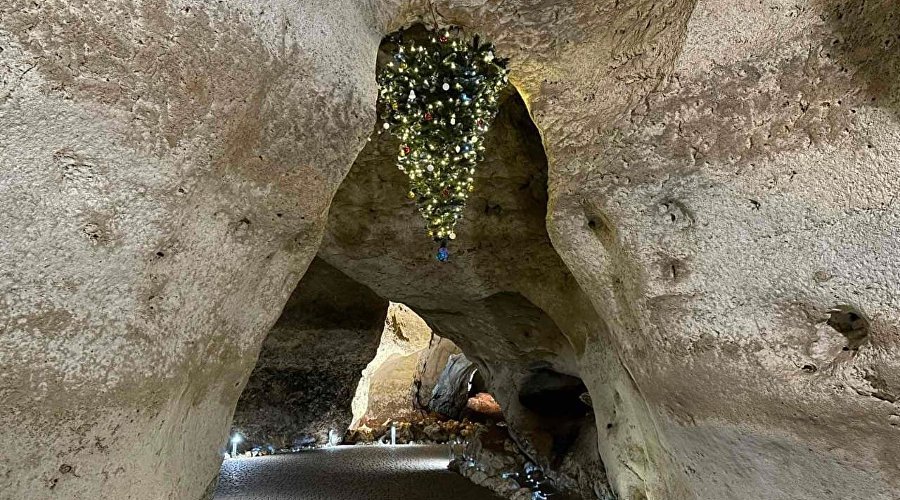 Елка в пещере «Таврида»