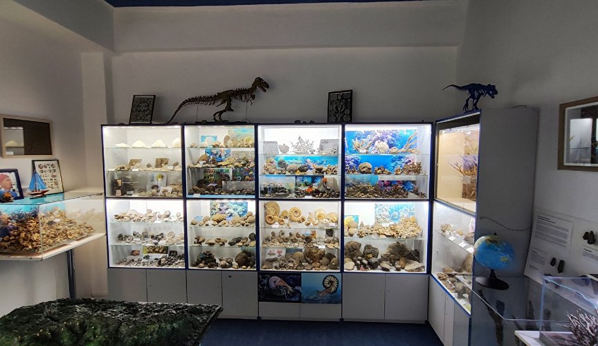 Экспонаты палеонтологического музея в Ливадии