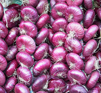 Чисто крымский look: под Алуштой устроят ежегодный луковый фестиваль