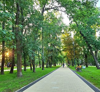 «Дыхание города»: как присоединиться к бесплатной экскурсии по зелёным зонам Симферополя