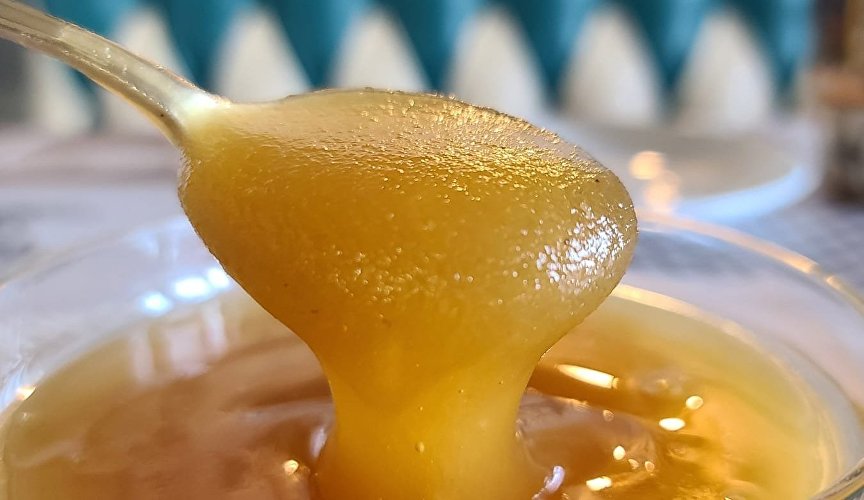 Крым – в десятке регионов с самым вкусным мёдом