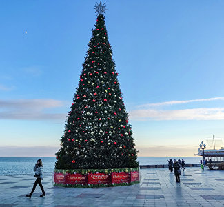 В Крыму на Новый год отдохнули более 180 тысяч туристов