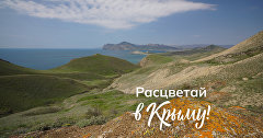 Спецпроект «Расцветай в Крыму!»