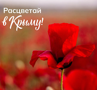 Отели и санатории Крыма разработали акции для спецпроекта «Расцветай в Крыму!»