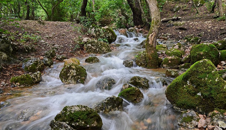 Живая вода Крыма, или Где на полуострове есть целебные источники