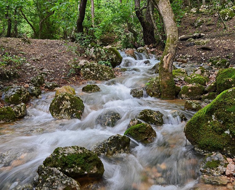 Родник горного Крыма