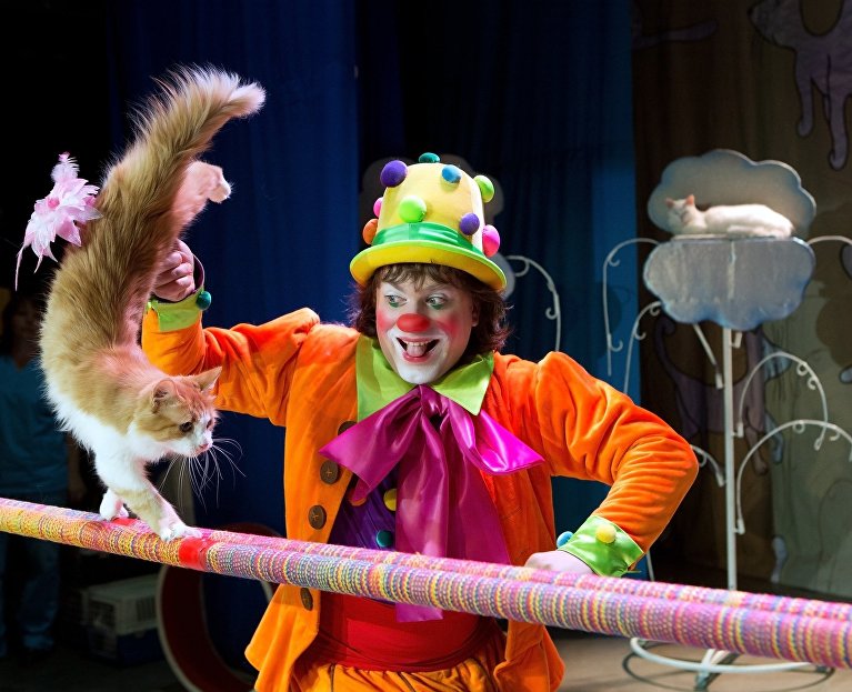 Выступление Владимира Куклачева в Театре кошек