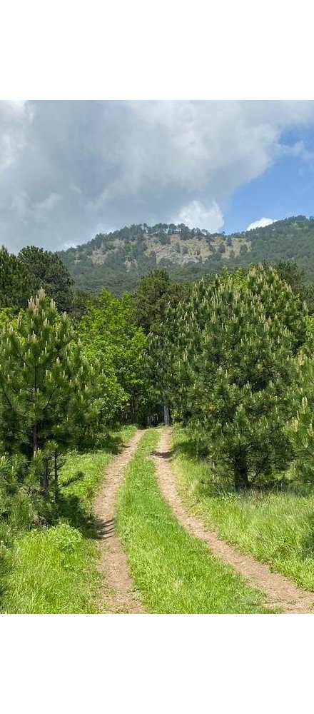 Самые красивые водопады и новые турмаршруты: где побывать в Крыму весной